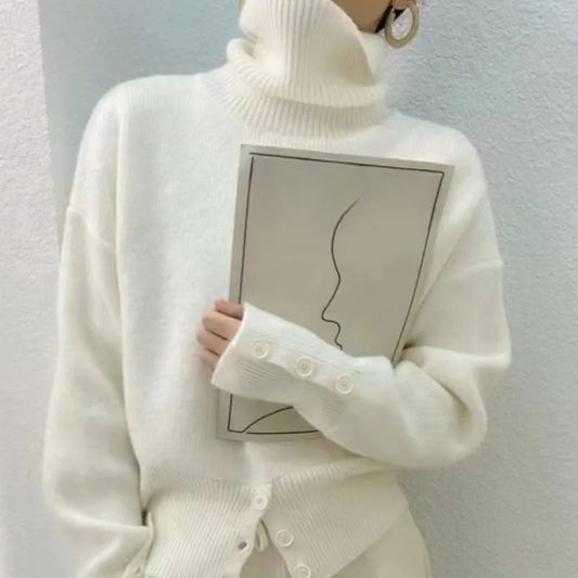 Fall winter turtleneck sweater