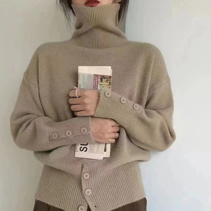 Fall winter turtleneck sweater