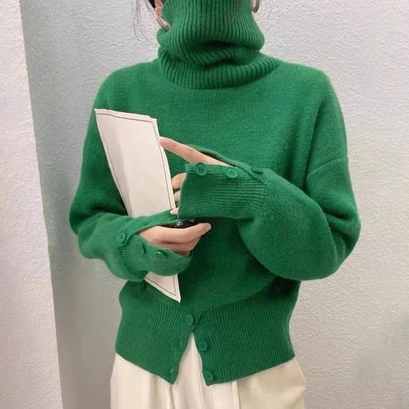 Fall winter turtleneck sweater