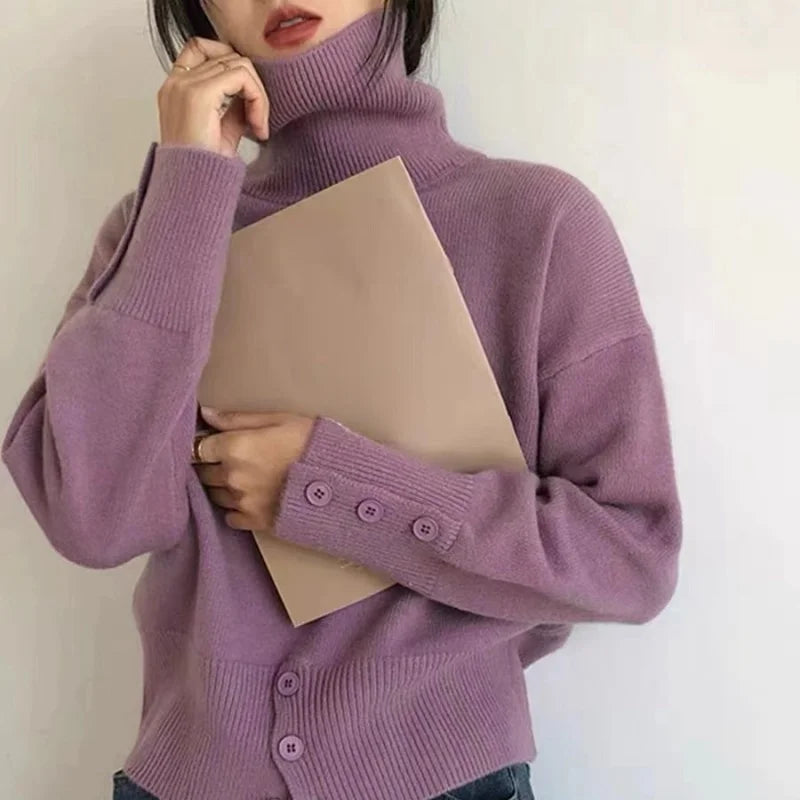 Fall winter turtleneck sweater