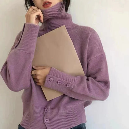 Fall winter turtleneck sweater