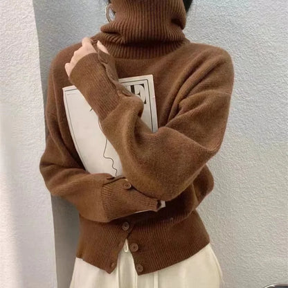 Fall winter turtleneck sweater